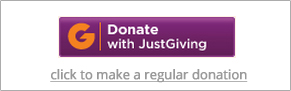 donate-single