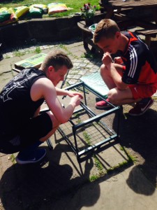 Gardening 11.6.15